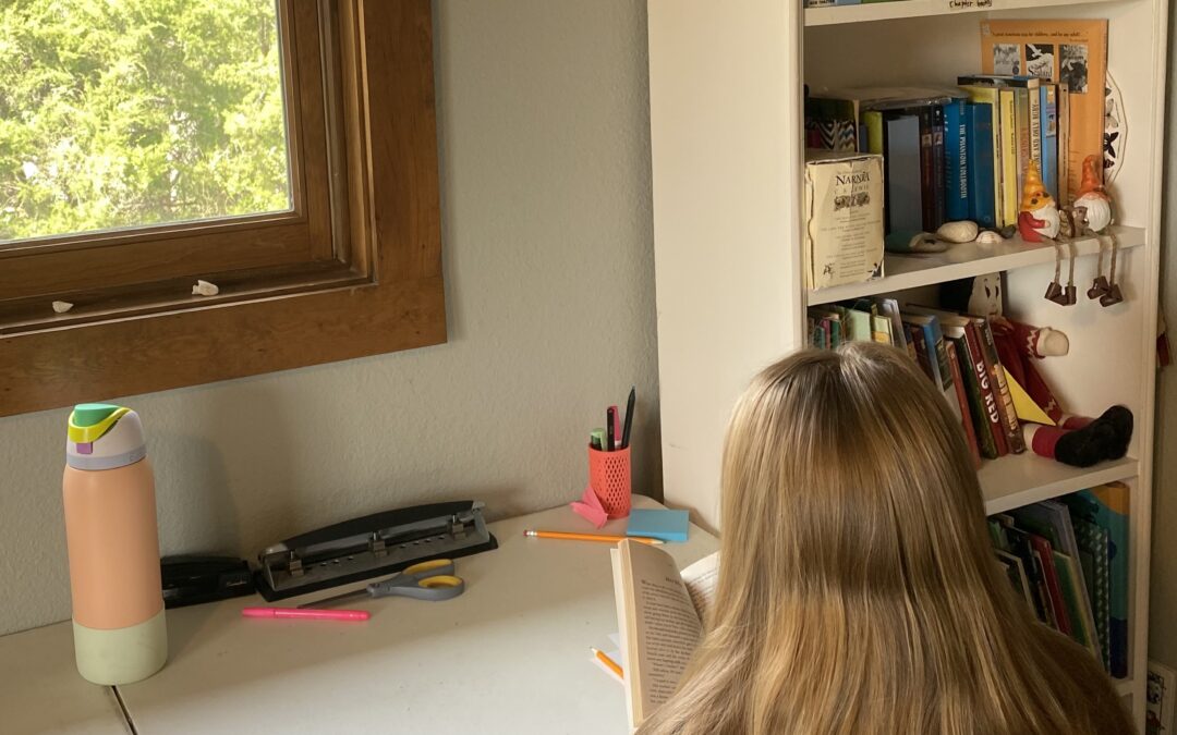 How To Homeschool in Texas (A Beginner’s Guide for McKinney Families) 